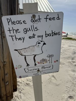 Saint George Island State Campground by null