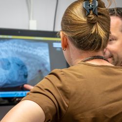 Heartland Pet Hospital - Digital x-rays for fast results.