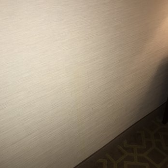 Charleston Marriott - Goo splashed on wall - Hotels Near Me - Charleston, South Carolina Charleston Marriott - Goo splashed on wall - Hotels Near Me - Charleston, South Carolina