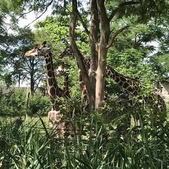 Indianapolis Zoo - Zoos Near Me - Indianapolis, Indiana Indianapolis Zoo - Zoos Near Me - Indianapolis, Indiana
