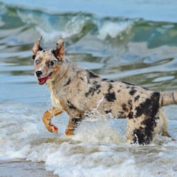 Michele Friszell Photography - Surfs up !