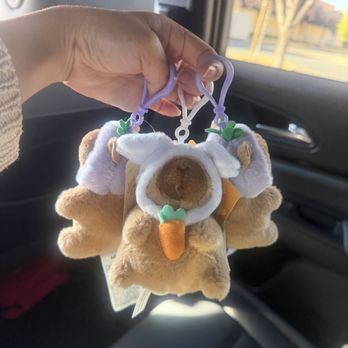 Miniso - Capybara keychains! - Toy Stores Near Me - Rancho Cordova, California Miniso - Capybara keychains! - Toy Stores Near Me - Rancho Cordova, California