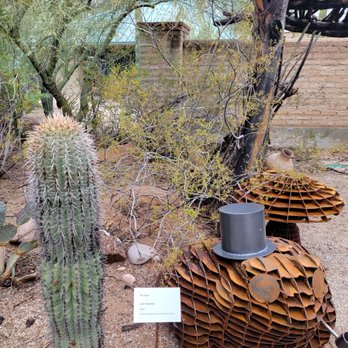 Tucson Botanical Gardens - Botanical Gardens Near Me - Tucson, Arizona Tucson Botanical Gardens - Botanical Gardens Near Me - Tucson, Arizona