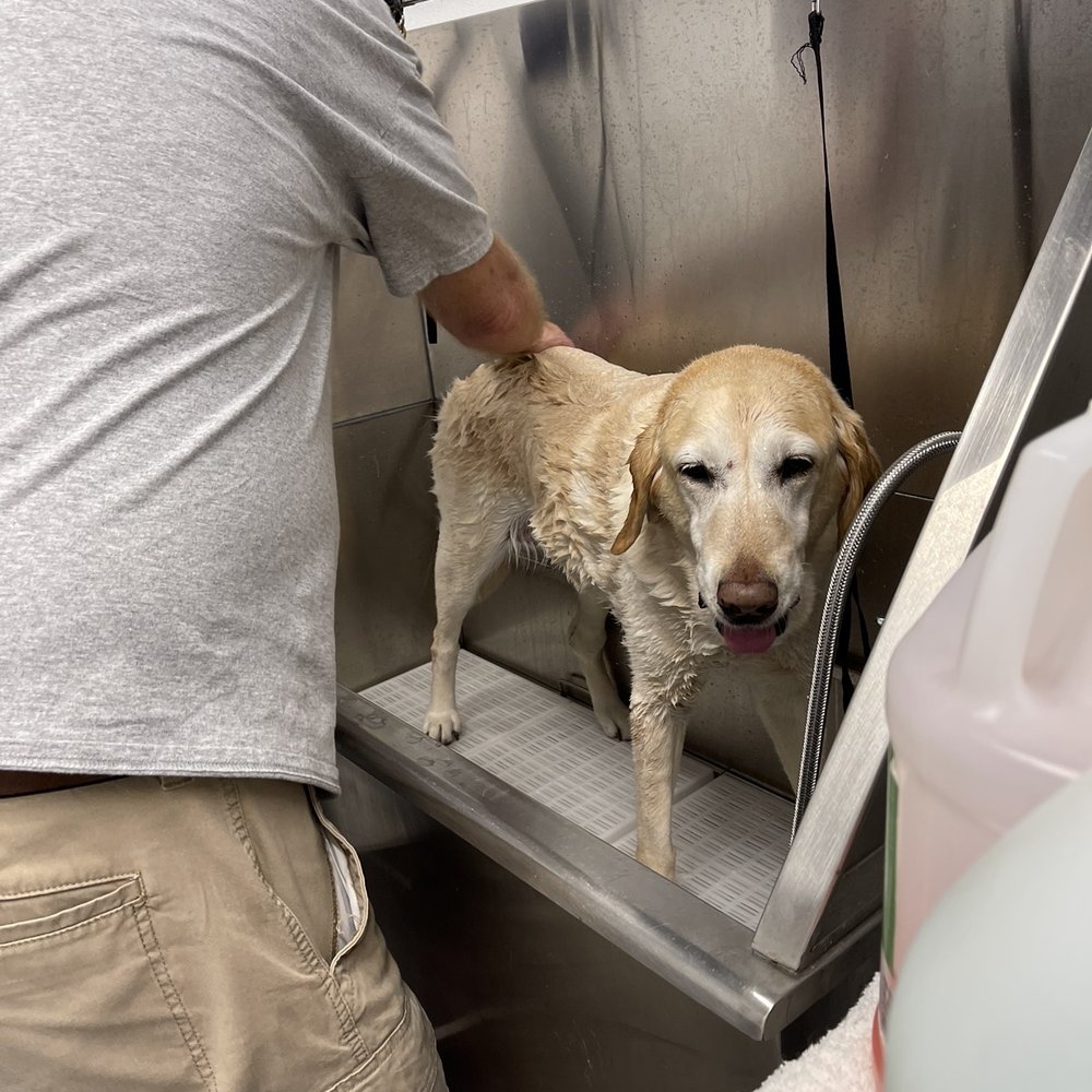 Tractor Supply - I love when you massage me Dad! - Department Stores Near Me - Cape Coral, Florida Tractor Supply - I love when you massage me Dad! - Department Stores Near Me - Cape Coral, Florida