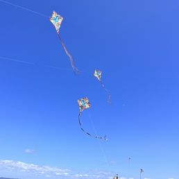 Chinatown Kites soaring high in the air