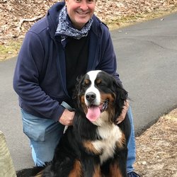 The Dogfather - Here I am with our Bernese Mountain Dog, Ralph.