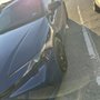 BlueWave Express Car Wash