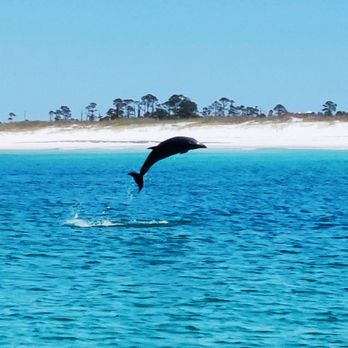 Visit Shell Island - Dolphin Tours Panama City Beach - Tours Near Me - Panama City Beach, Florida Visit Shell Island - Dolphin Tours Panama City Beach - Tours Near Me - Panama City Beach, Florida