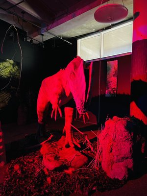 Museum of Science & Industry by null