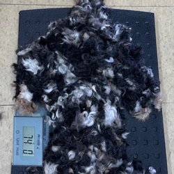 Granny Grunt's Grooming - It is ALL hair!