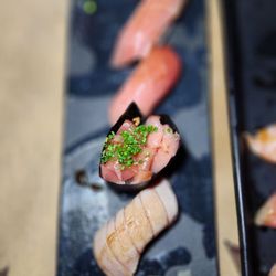 Mog - Toro sampler