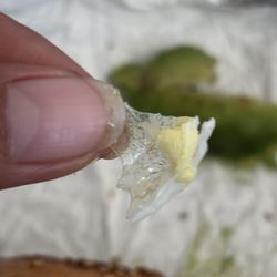 Eastdale Ave Bagels - I found plastic embedded in my sandwich