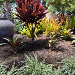 Soil Plus - Milled Macadamia Nut Shell groundcover at Hualalai
