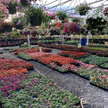 Country Boy's - Nurseries & Gardening Near Me - Greenville, South Carolina