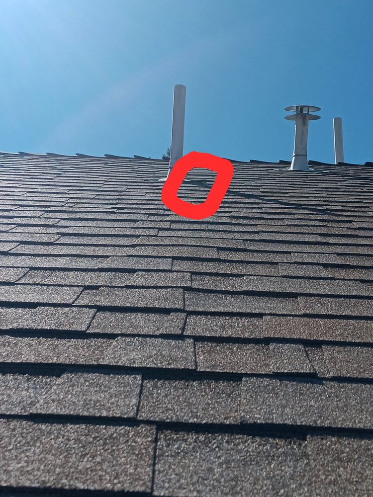 Slide of Zinc Roofing