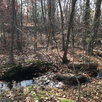 Middlesex Fells Reservation - Parks Near Me - Stoneham, Massachusetts