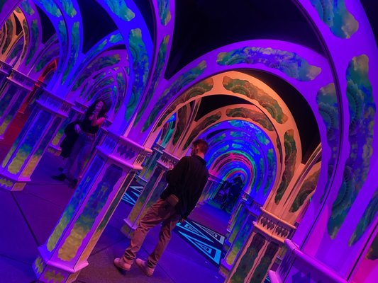 Magowan's Infinite Mirror Maze by null