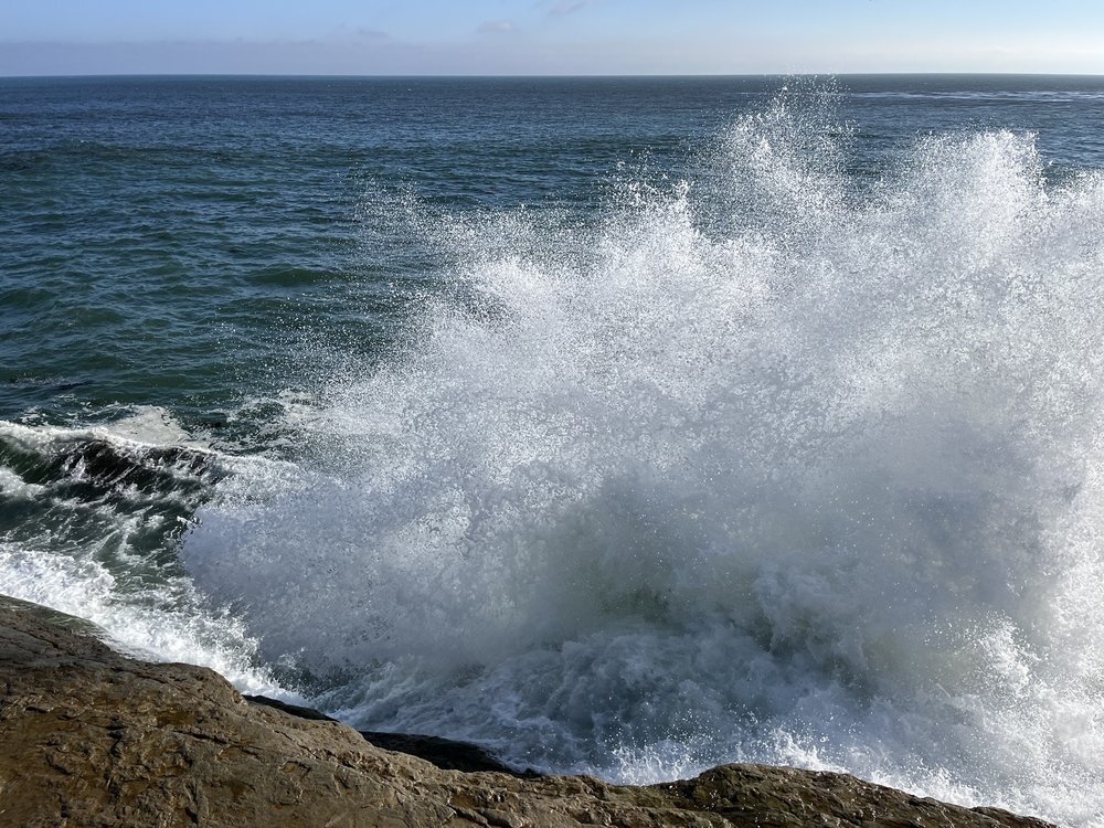 RANCHO DEL BORDO MOBILE HOME ESTATES Updated September 2024 10025