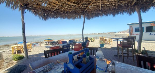 Cholla Bay Oyster House by null