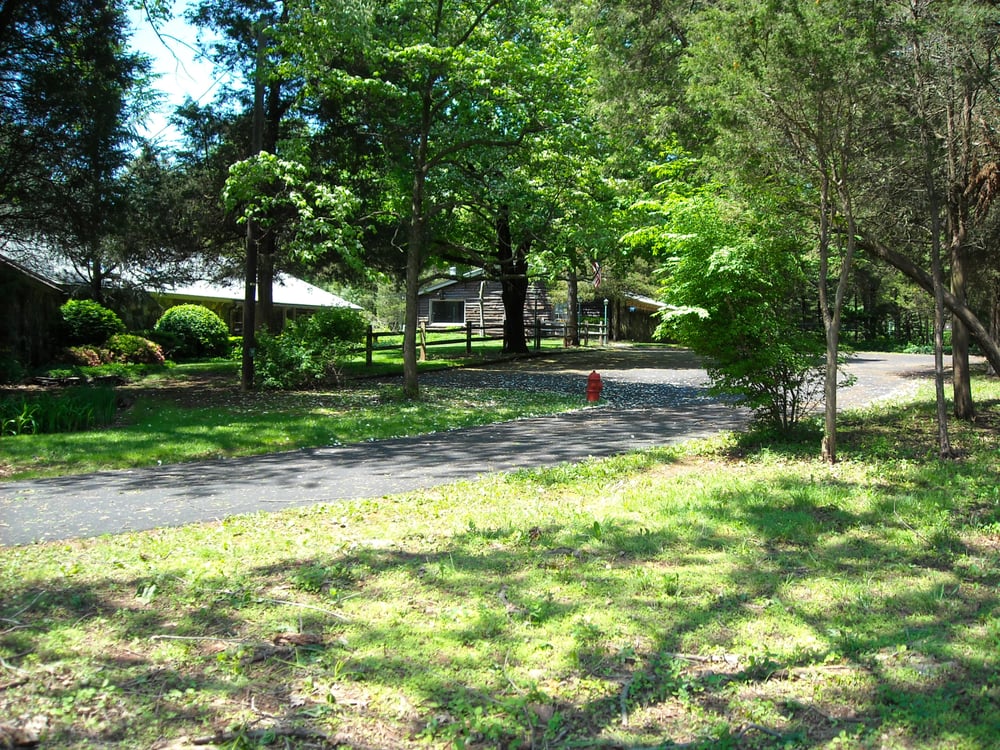 PIONEER PET CARE Updated October 2024 11 Reviews 47 E Mountain Rd