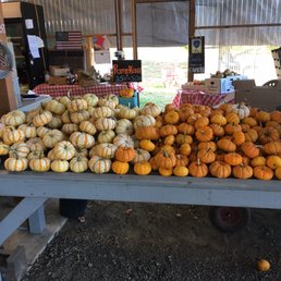 a table full of pumpkins a table full of pumpkins