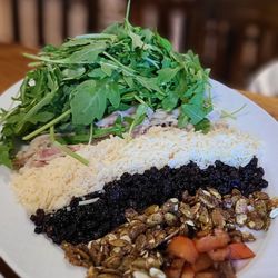 Sac Bar - Salad