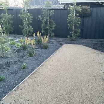 Mscape Design - Corner of backyard - Landscaping Near Me