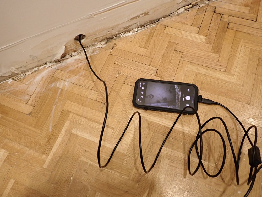 A Accredited Mold Inspection Service, Inc - mold inspector in West Palm Beach, FL