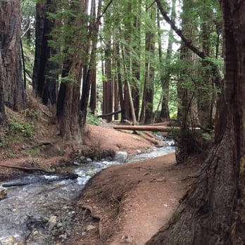 Ewoldsen Trail - Amazing! - Hiking Near Me - Big Sur, California