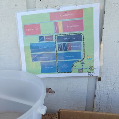 Hoffman Farms Store by null