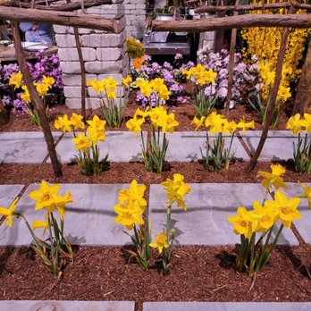 Ohio Expo Center Coliseum - Daffodils, my middle son's favorites. - Venues & Event Spaces Near Me - Columbus, Ohio Ohio Expo Center Coliseum - Daffodils, my middle son's favorites. - Venues & Event Spaces Near Me - Columbus, Ohio