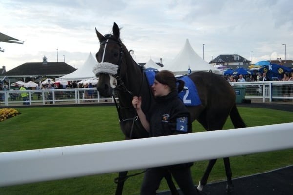Ayr Racecourse by null