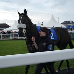Ayr Racecourse - Igoyougo - what a beauty!
