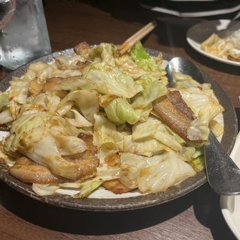 Northern Cuisine - Cabbage! - Dim Sum Near Me - Champaign, Illinois Northern Cuisine - Cabbage! - Dim Sum Near Me - Champaign, Illinois
