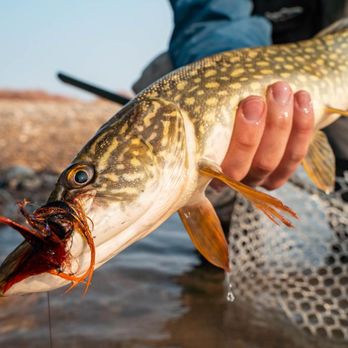 Anglers All Denver - Hunting & Fishing Supplies Near Me - Denver, Colorado Anglers All Denver - Hunting & Fishing Supplies Near Me - Denver, Colorado