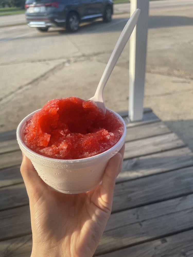 Summer Snow Logo