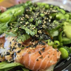 Poke Hana - Packed