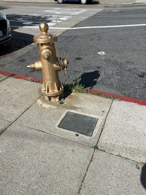 The Golden Fire Hydrant by null