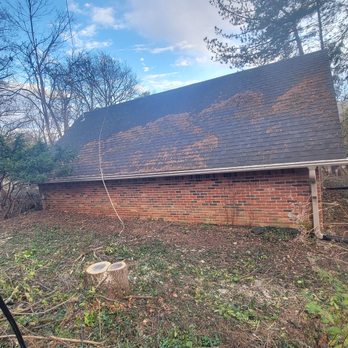 White Tree Service - After We removed the walnut that was too close from the house. - Tree Services Near Me