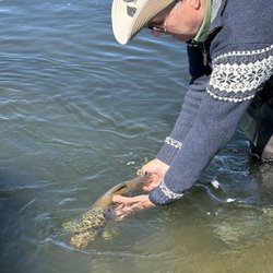 South Platte Fly Shop - A Fantastic experience! I caught an 8 lb brown and my husband caught a 6 1/2 lb brown!! Plus 2 Kokanee and a few rainbow. Great fight