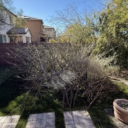 What I ask them to remove from my lawn. What I ask them to remove from my lawn.