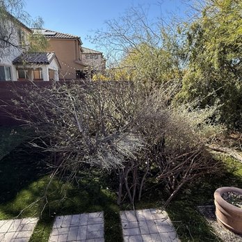 Top Notch Lawn Care - What I ask them to remove from my lawn. - Landscaping Near Me Top Notch Lawn Care - What I ask them to remove from my lawn. - Landscaping Near Me