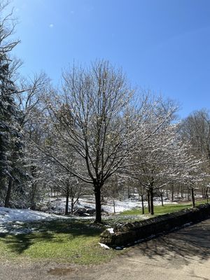 Chestnut Ridge Park by null