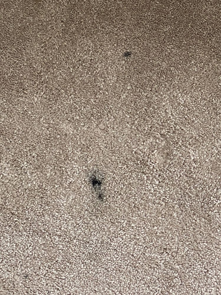 SOARD PROPERTIES 221 N Washington Ave, Cookeville, Tennessee