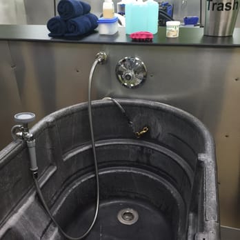 Bath & Biscuits - Pet Stores Near Me - Sacramento, California Bath & Biscuits - Pet Stores Near Me - Sacramento, California