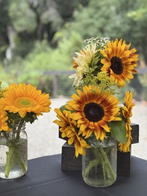 Alisal Ranch by null