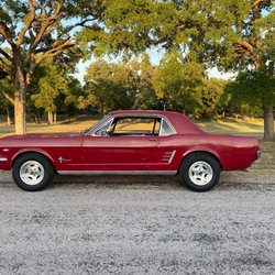 Elite Autoworks - He has taken care of Roxie 66 mustang and is very good at what they do.....would not go anywhere else in Bell county