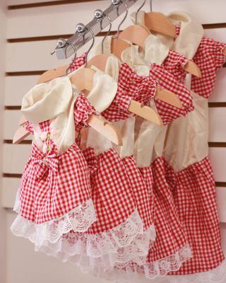 Dogue Grooming & Pet Boutique by null