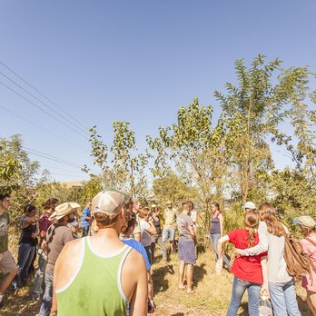 Austin Permaculture Guild - Specialty Schools Near Me