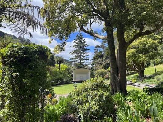 Wellington Botanic Garden by null